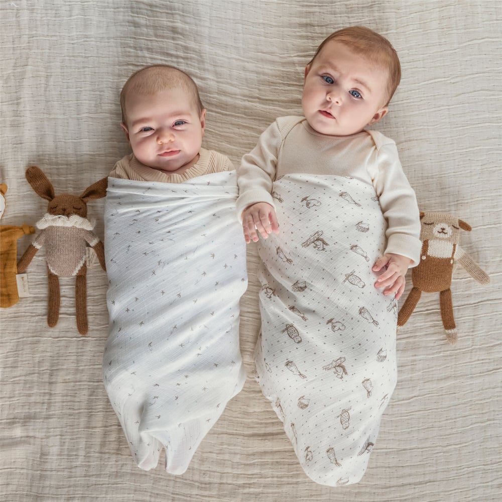 Aden & Anais - Healing Nature 2li İpek Yumuşak Kundak Set