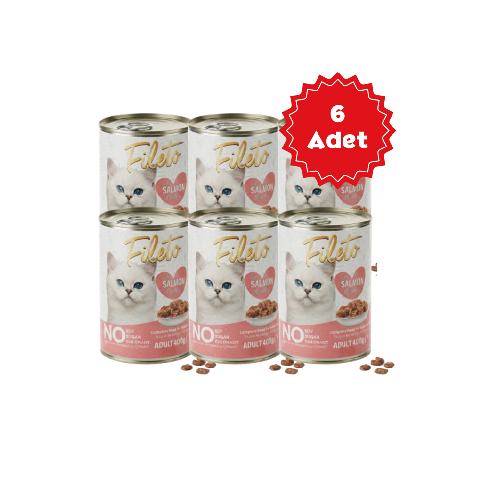  Bestpet Fileto Somon Parça Etli Ve Soslu Yetişkin Kedi Konservesi 400gr X 6 Adet