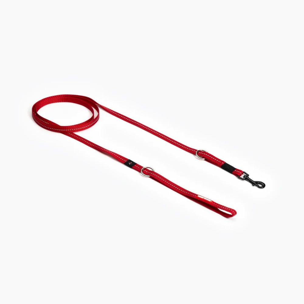 Ezydog Vario 4 Lite Çok Fonksiyonlu Gezdirme Tasması 12 mm 185cm