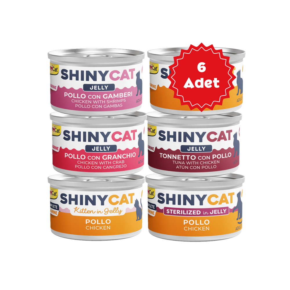  Gimcat Shinycat Jelly Jöle içinde Tavuklu Karışık Kedi Konserve Maması 70grX6 Adet