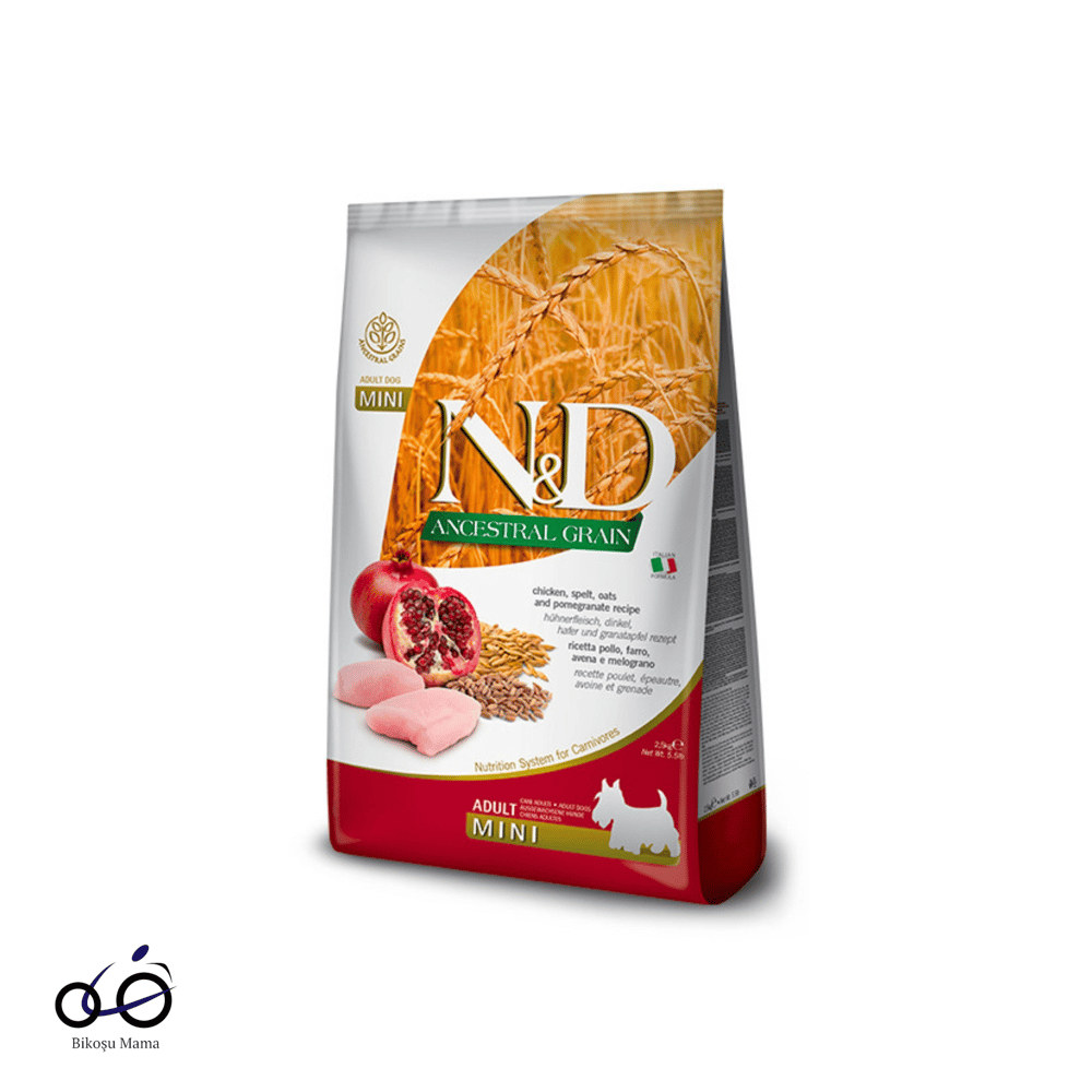 N&D Ancestral Grain Tavuklu ve Narlı Küçük Irk Ata Tahıllı Yetişkin Köpek Maması