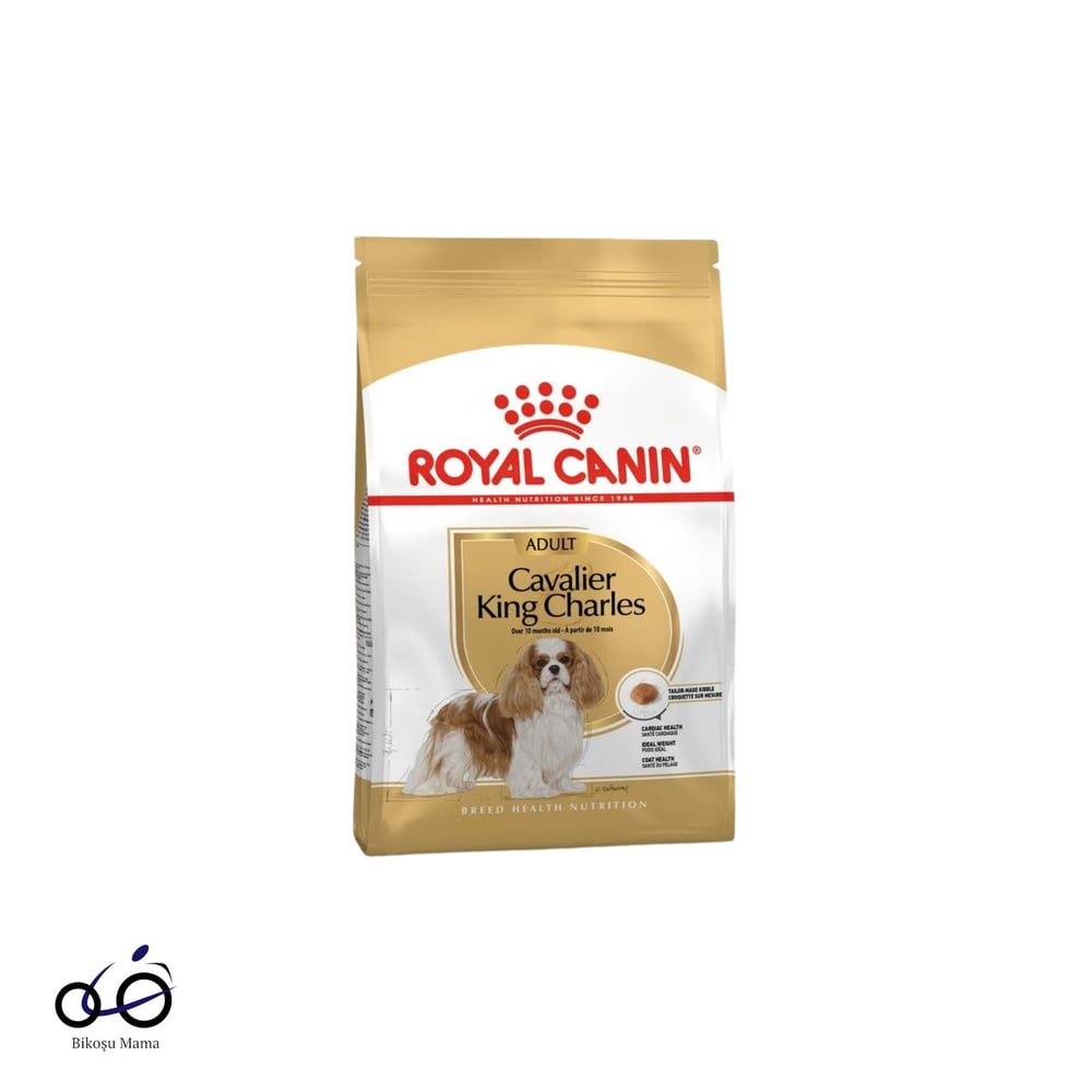 Royal Canin Cavalier King Charles 27 Yetişkin Köpek Maması