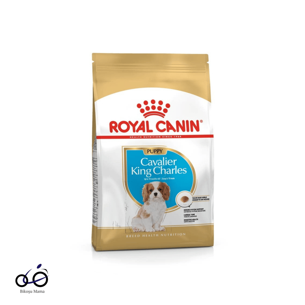 Royal Canin Puppy Cavalier King Charles Yavru Köpek Maması 1,5kg