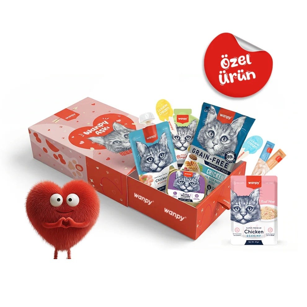  Wanpy Kalp Kutu Seti Karışık Kedi Ödülü