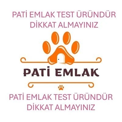 ORTA IRK KÖPEK KULÜBESİ YATAĞI