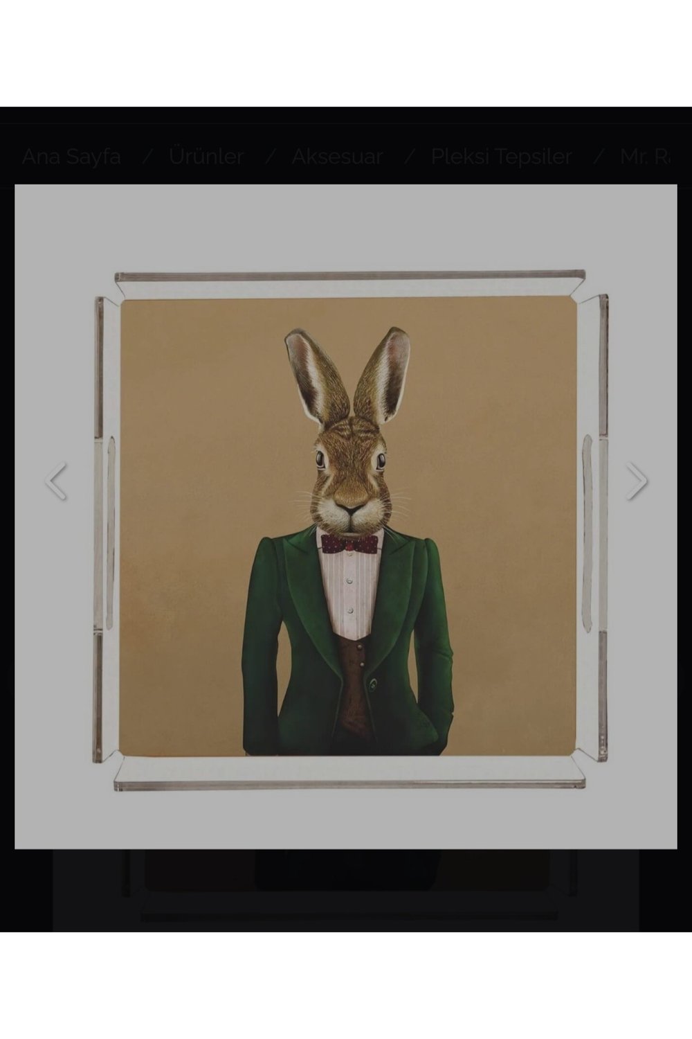 Mr. Rabbit Pleksi Tepsi