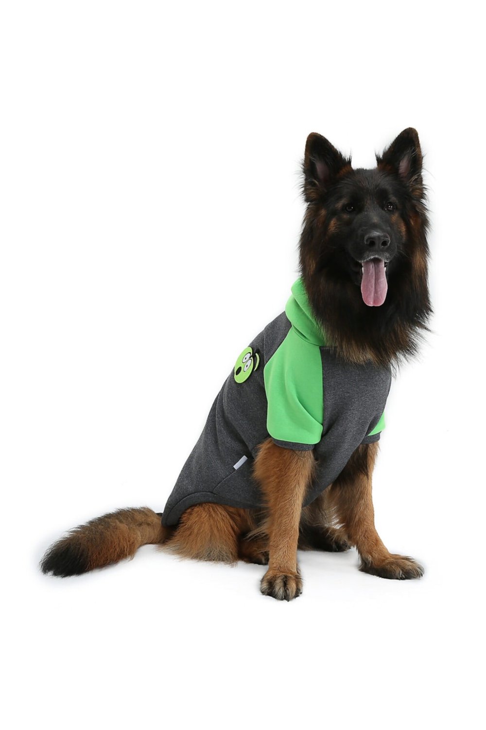 Büyük Irk Apple Köpek Sweati -köpek Kiyafeti
