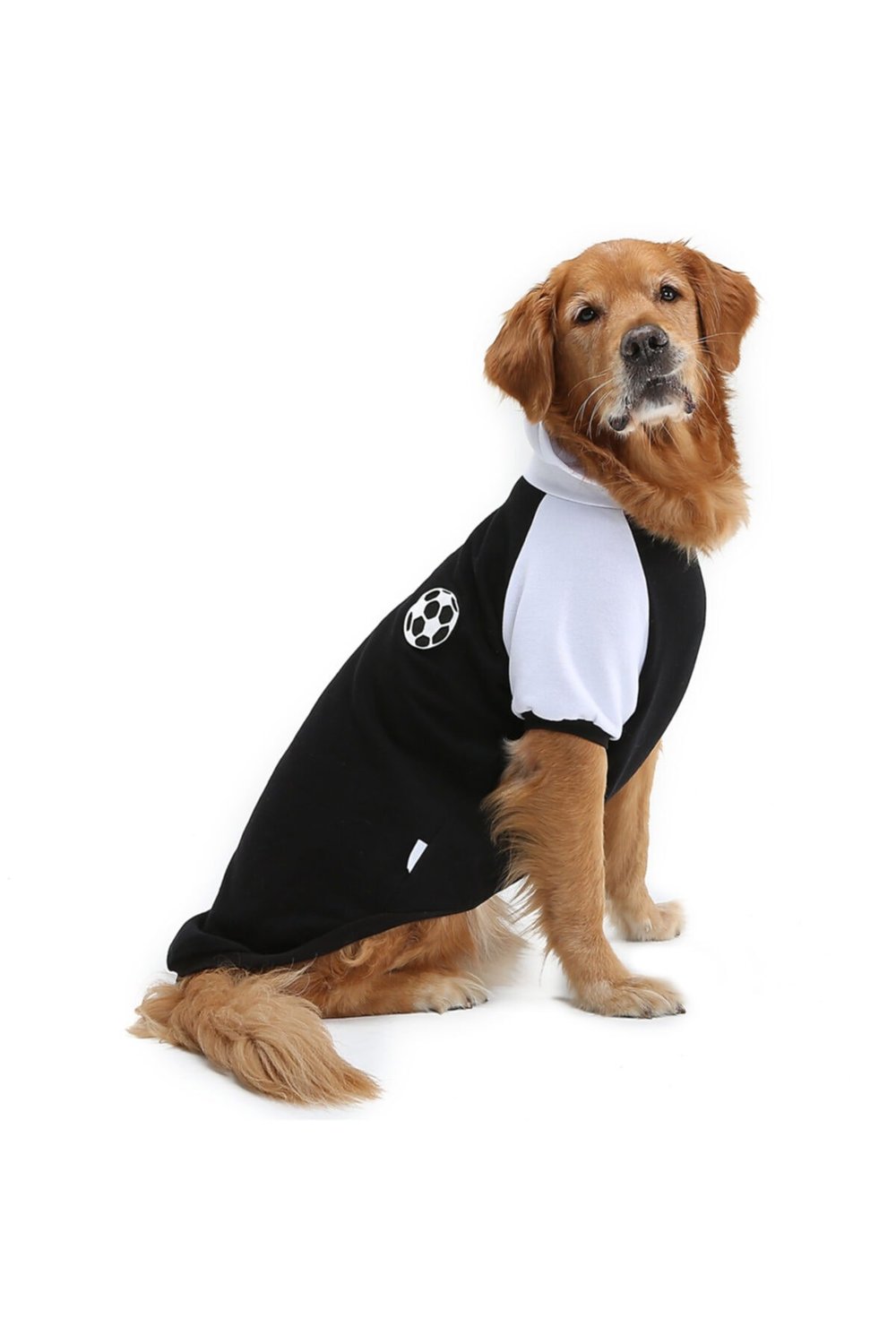 Büyük Irk Ball Black Taraftar Köpek Sweati-köpek Kiyafeti
