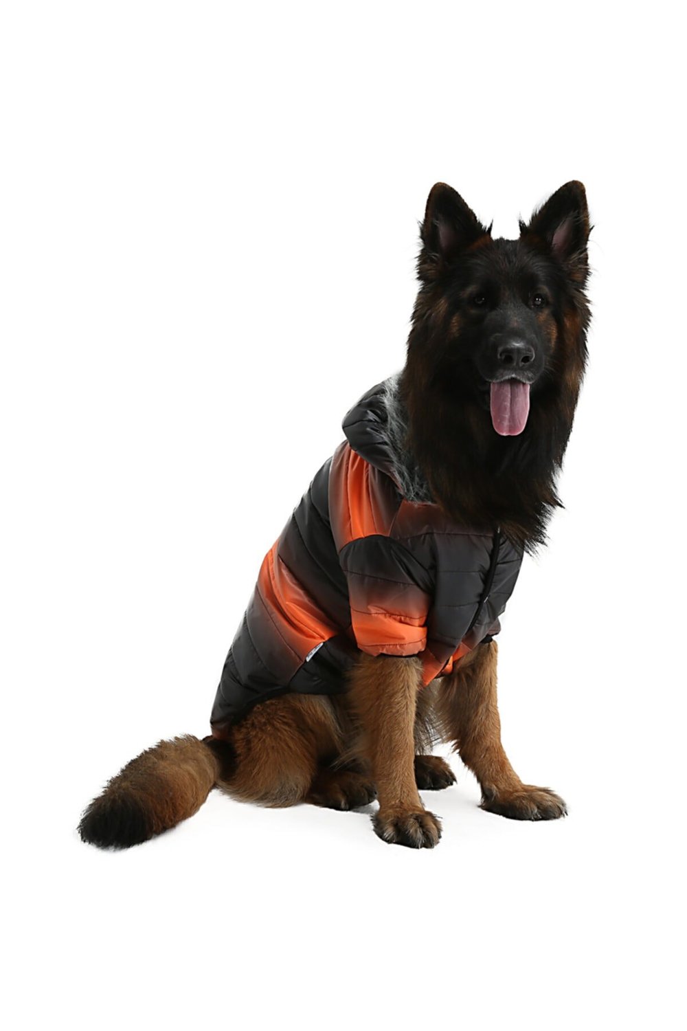 Büyük Irk Black-neon Oranj Puf Köpek Montu-köpek Yağmurluğu