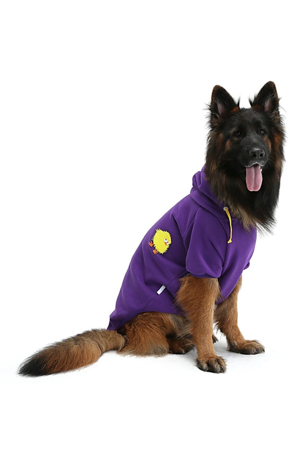 Büyük Irk Civciv Köpek Sweati-köpek Kiyafeti