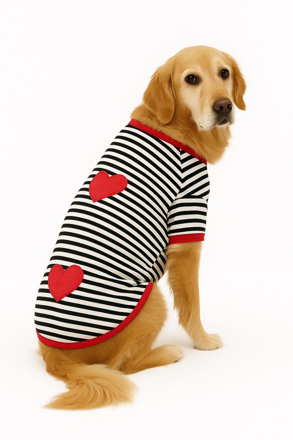 Büyük Irk Heart Yazlık Köpek T-shırt (11 Kg -45 Kg)