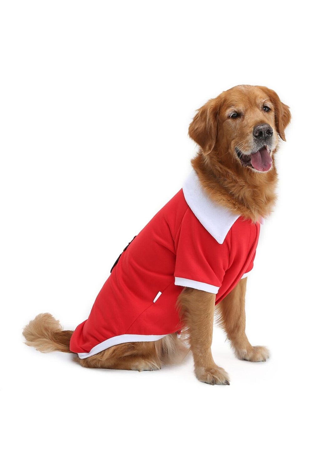 Büyük Irk Kardan Adam Yılbaşı Ceket Köpek Kıyafeti