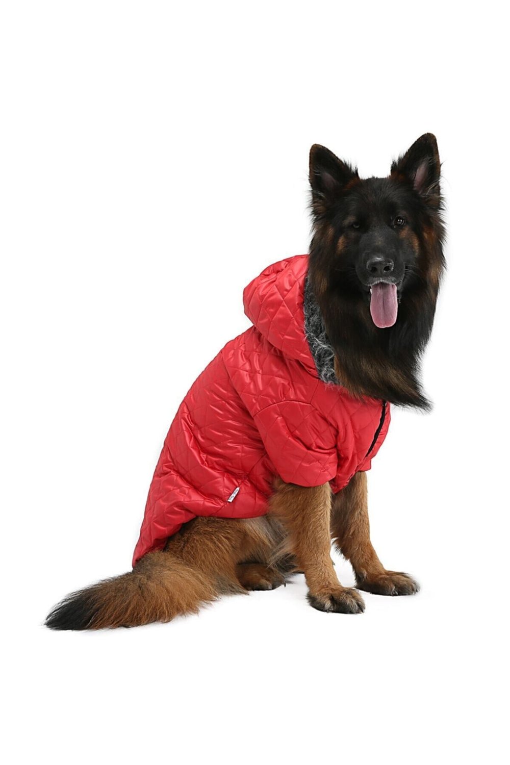 Büyük Irk Kırmızı Puf Köpek Montu -köpek Yağmurluğu