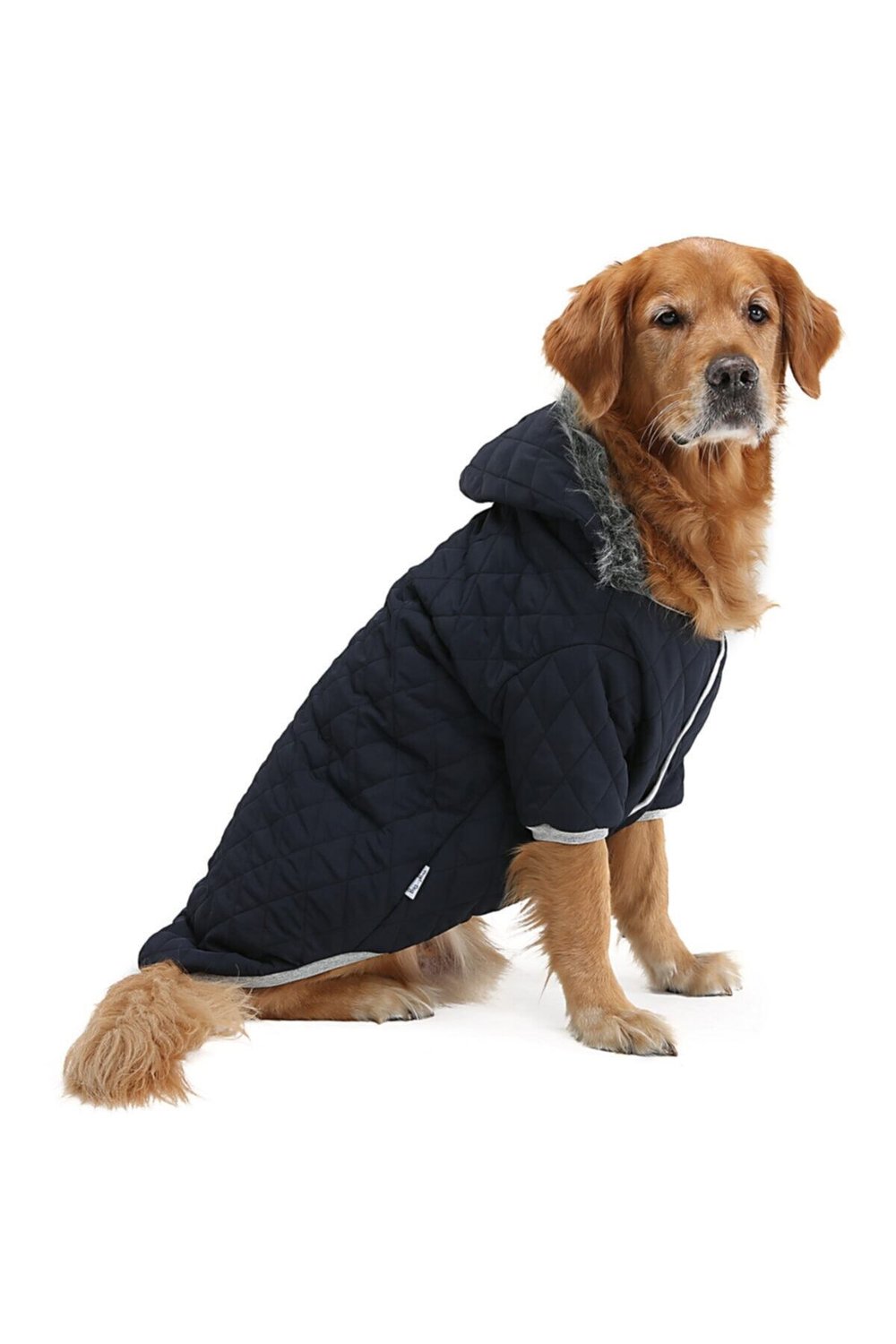 Büyük Irk Laciver Puf Köpek Montu-köpek Yağmurluğu