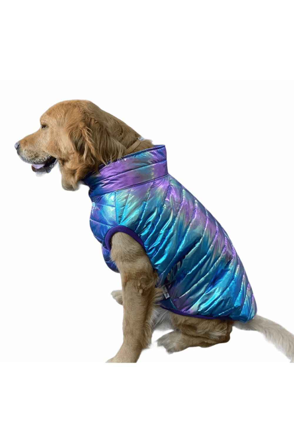 Büyük Irk Metallic Purple Anorak Kolsuz Puf Mont