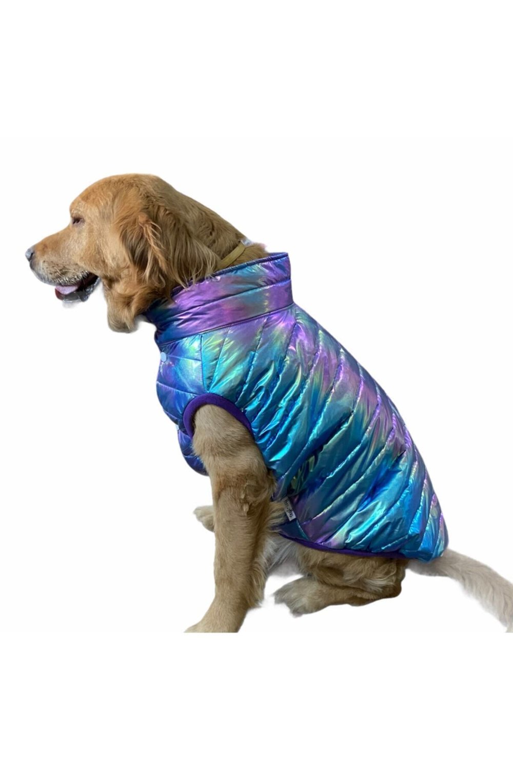 Büyük Irk Metallic Purple Anorak Kolsuz Puf Mont
