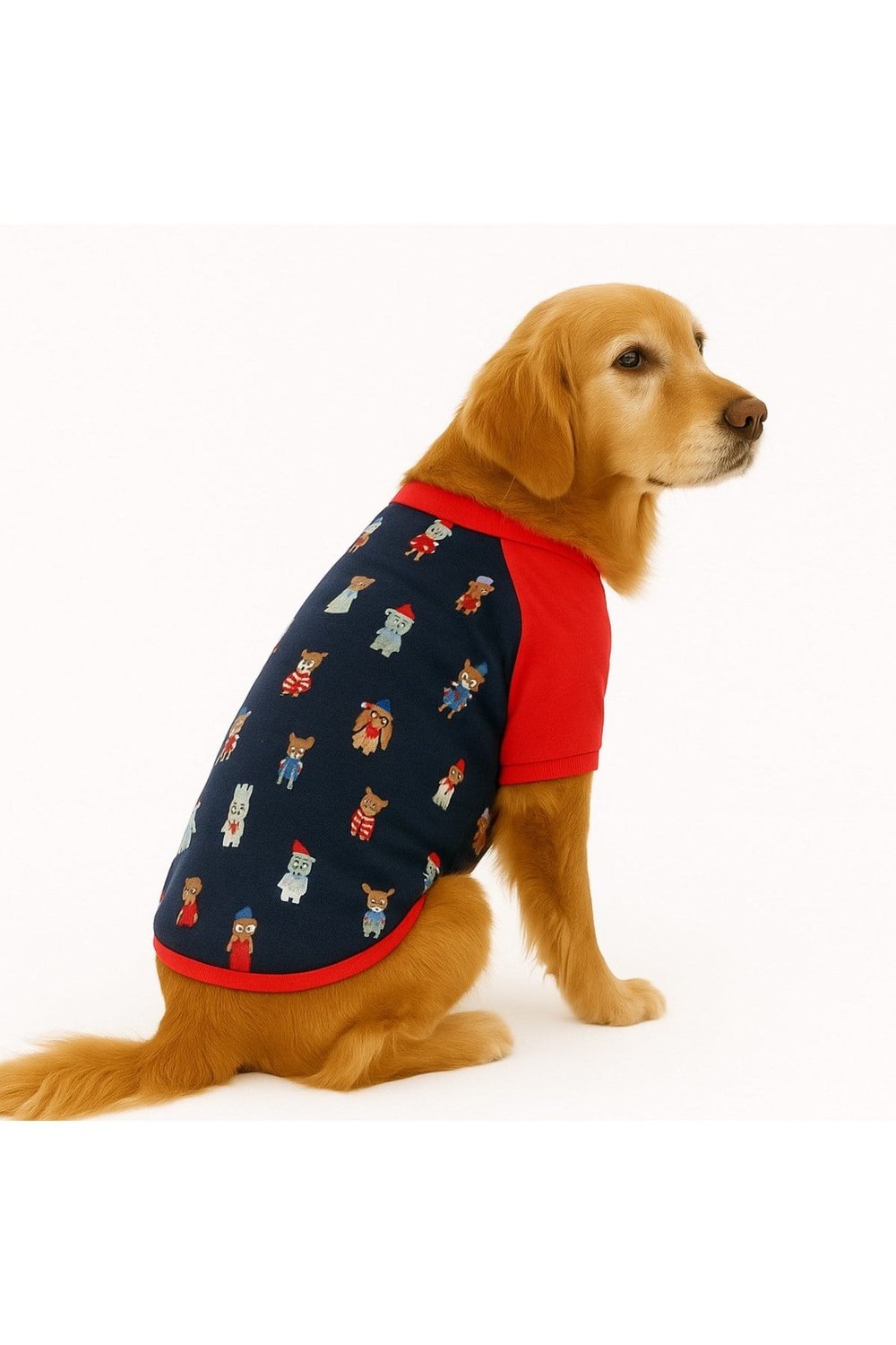 Büyük Irk Mix Dogs Yazlık Köpek T-Shirt (11-45KG)