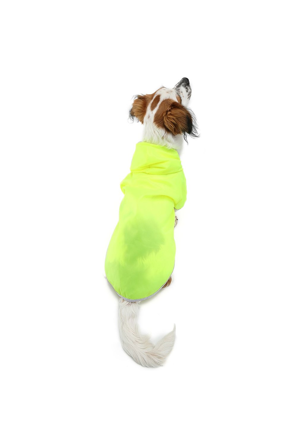 Büyük Irk Neon Green Köpek Yağmurluk Köpek Kıyafeti (11-40KG)