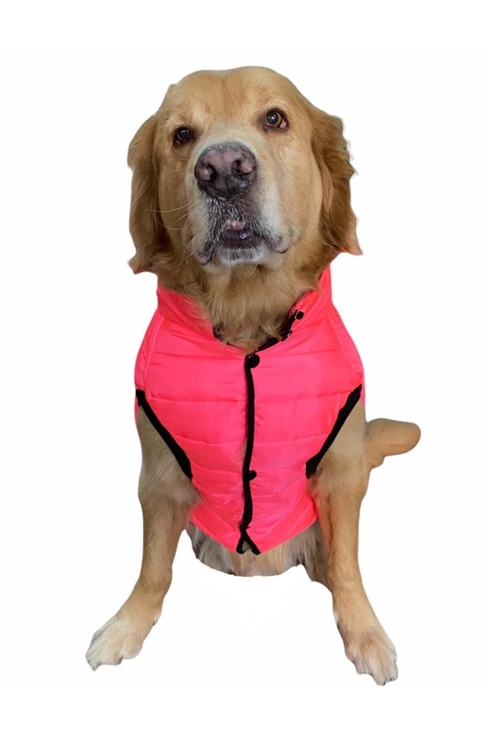Büyük Irk Neon Pembe Anorak Puf Yelek