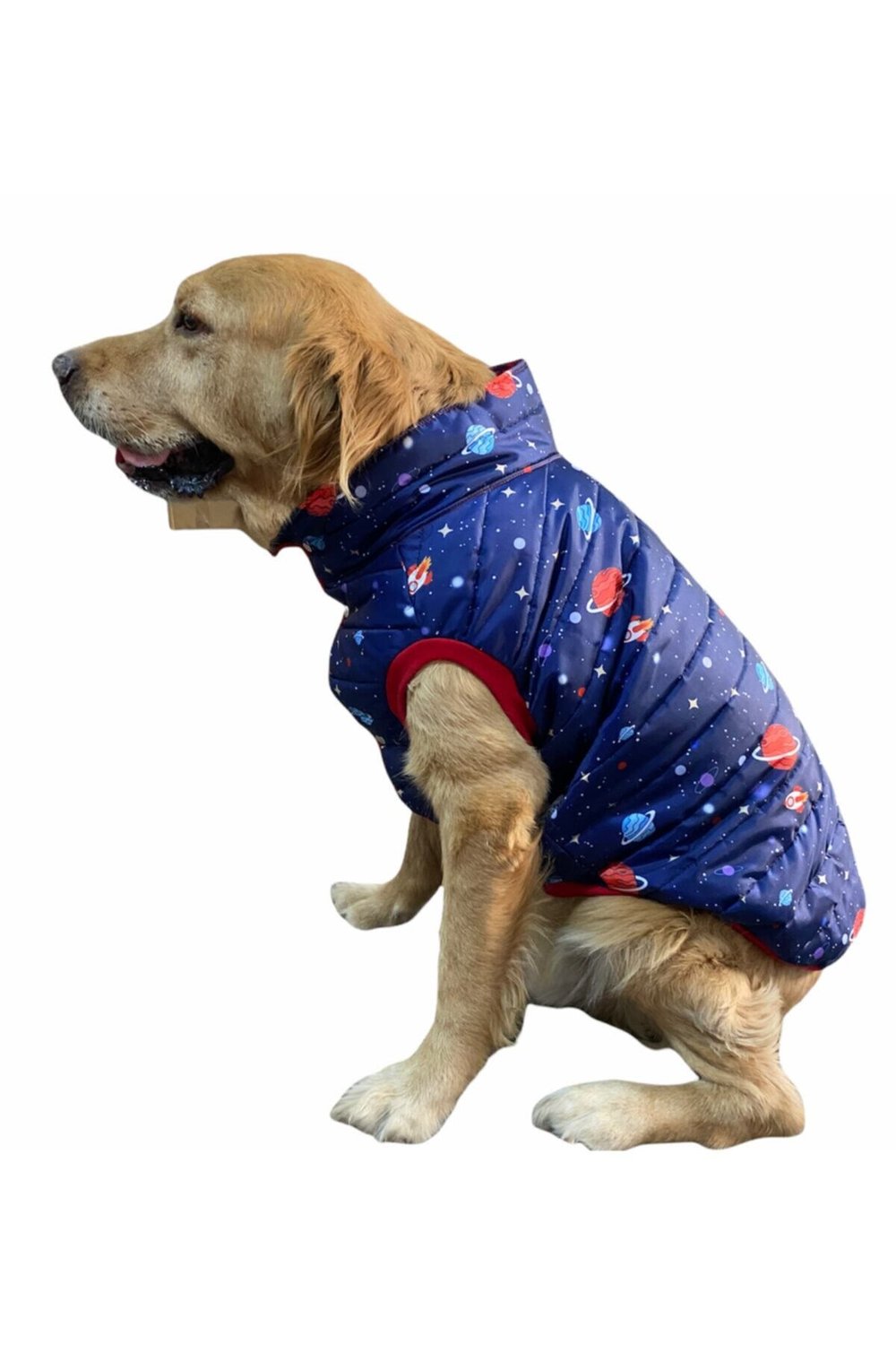 Büyük Irk Space Anorak Puf Yelek