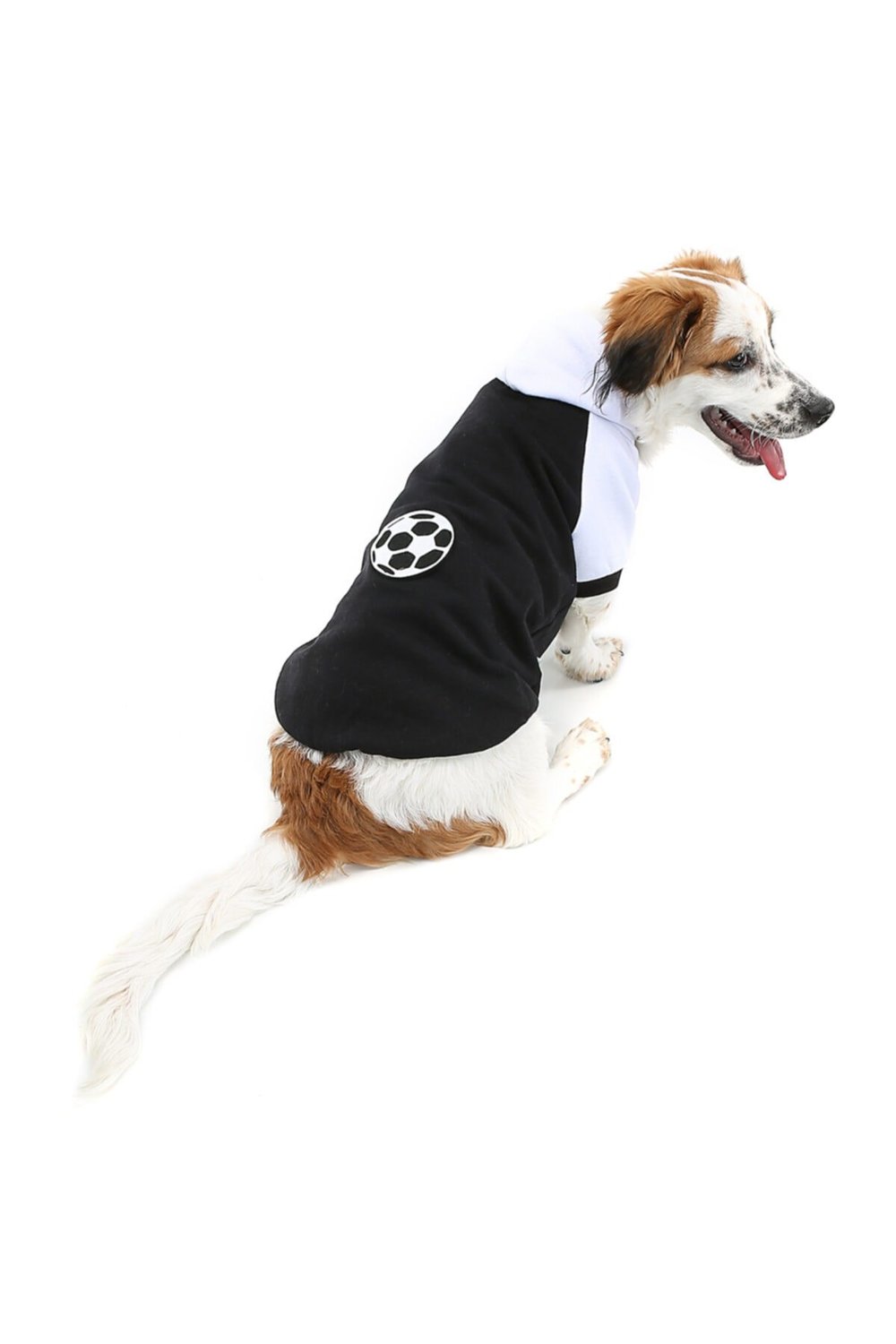 Küçük Irk Black Ball Kedi Köpek Sweati Kedi Köpek Kiyafeti