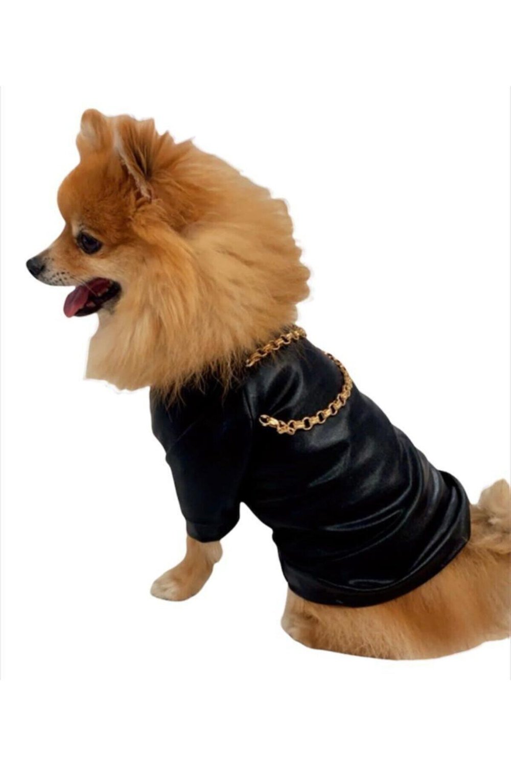 Küçük Irk Deri Rocky Zincirli Kedi -köpek Tshırt (1-11 Kg )
