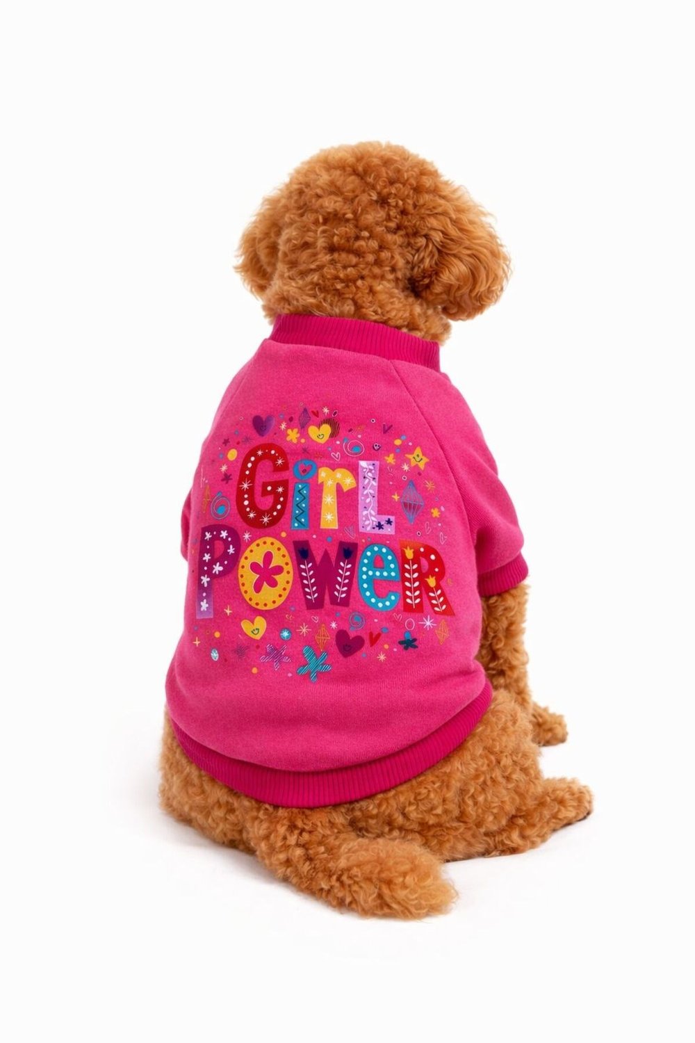Küçük Irk GİRL POWER Köpek Sweati Köpek Kıyafeti Kedi Kıyafeti (1-10KG)