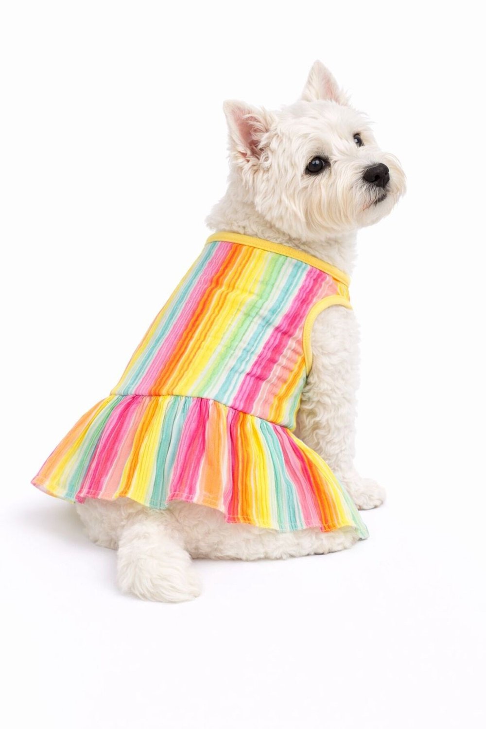Küçük Irk Gökkuşağı Renkli Köpek Kıyafeti Köpek Elbisesi (1-10KG)