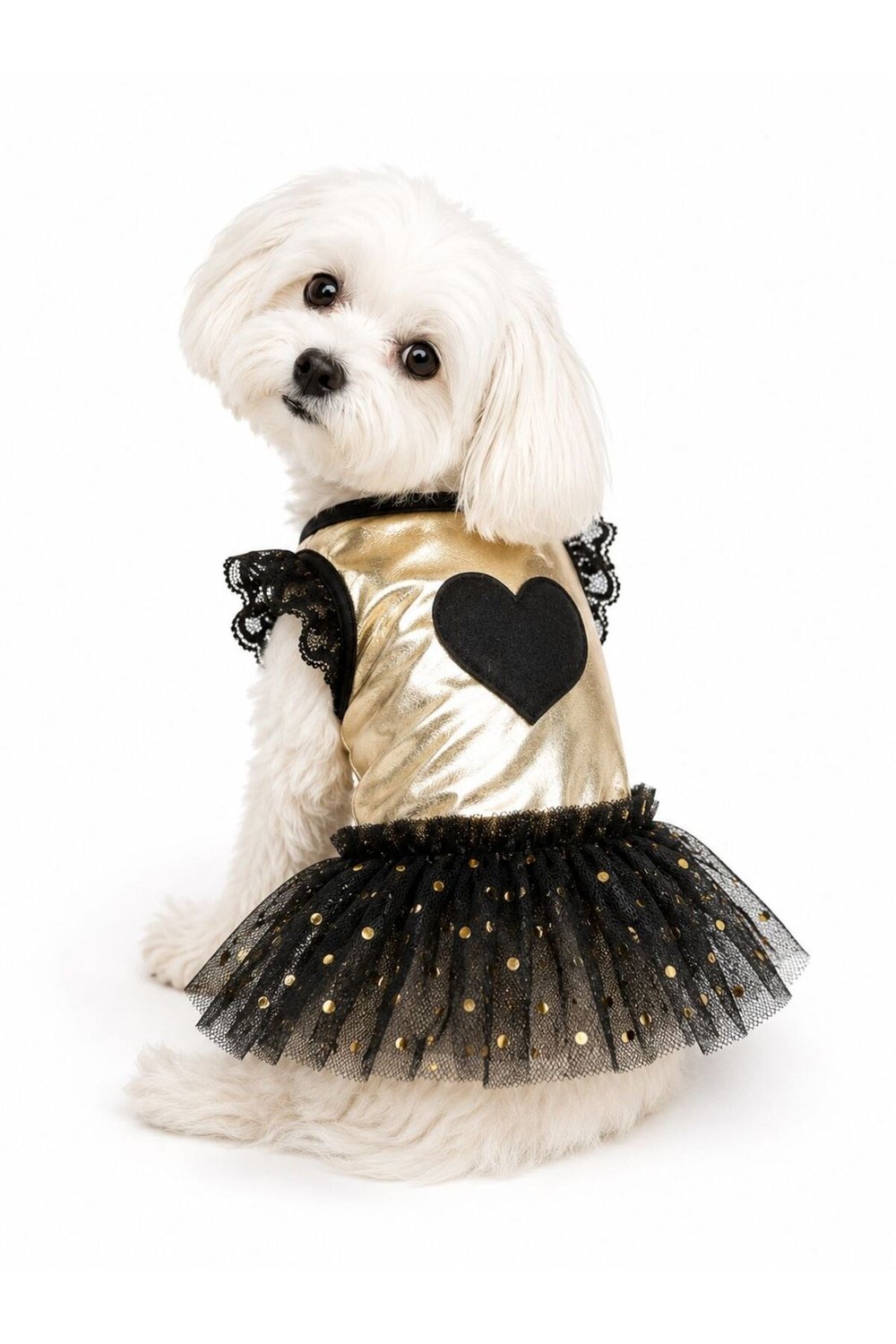 Küçük Irk Golden Dresses Köpek Kıyafeti Köpek Elbisesi Kedi Kıyafeti (1-10KG)