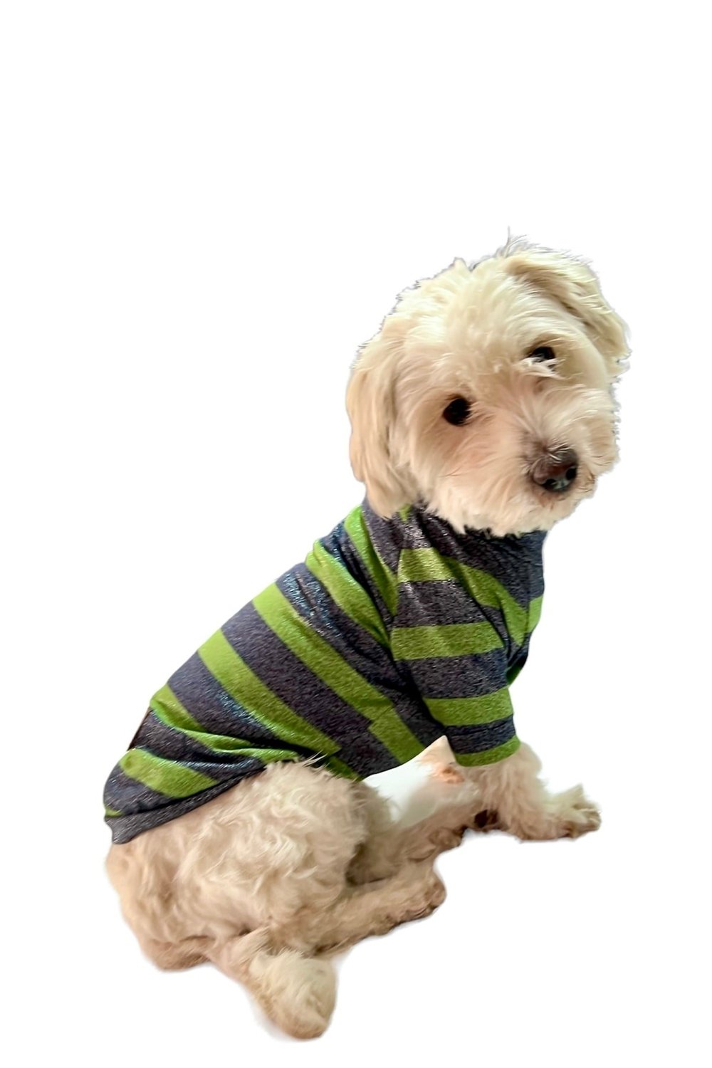 Küçük Irk Green Boğazlı Triko Kedi & Köpek Kazağı (1 Kg -10 Kg)