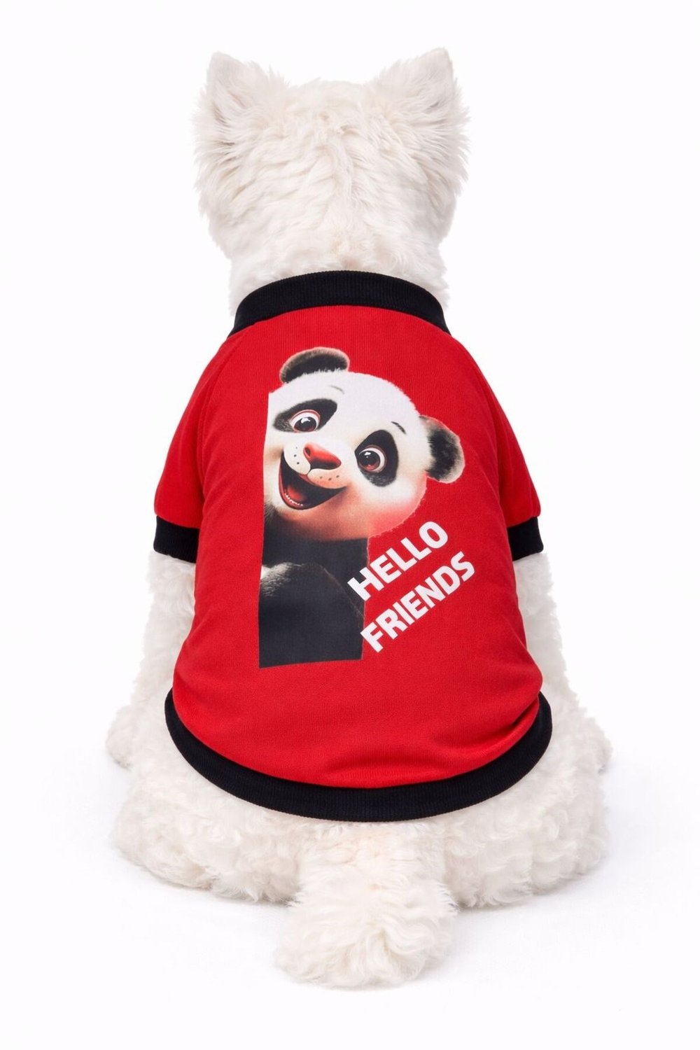Küçük Irk Hello Frıends Köpek Kıyafeti Köpek Sweati (1-10KG)