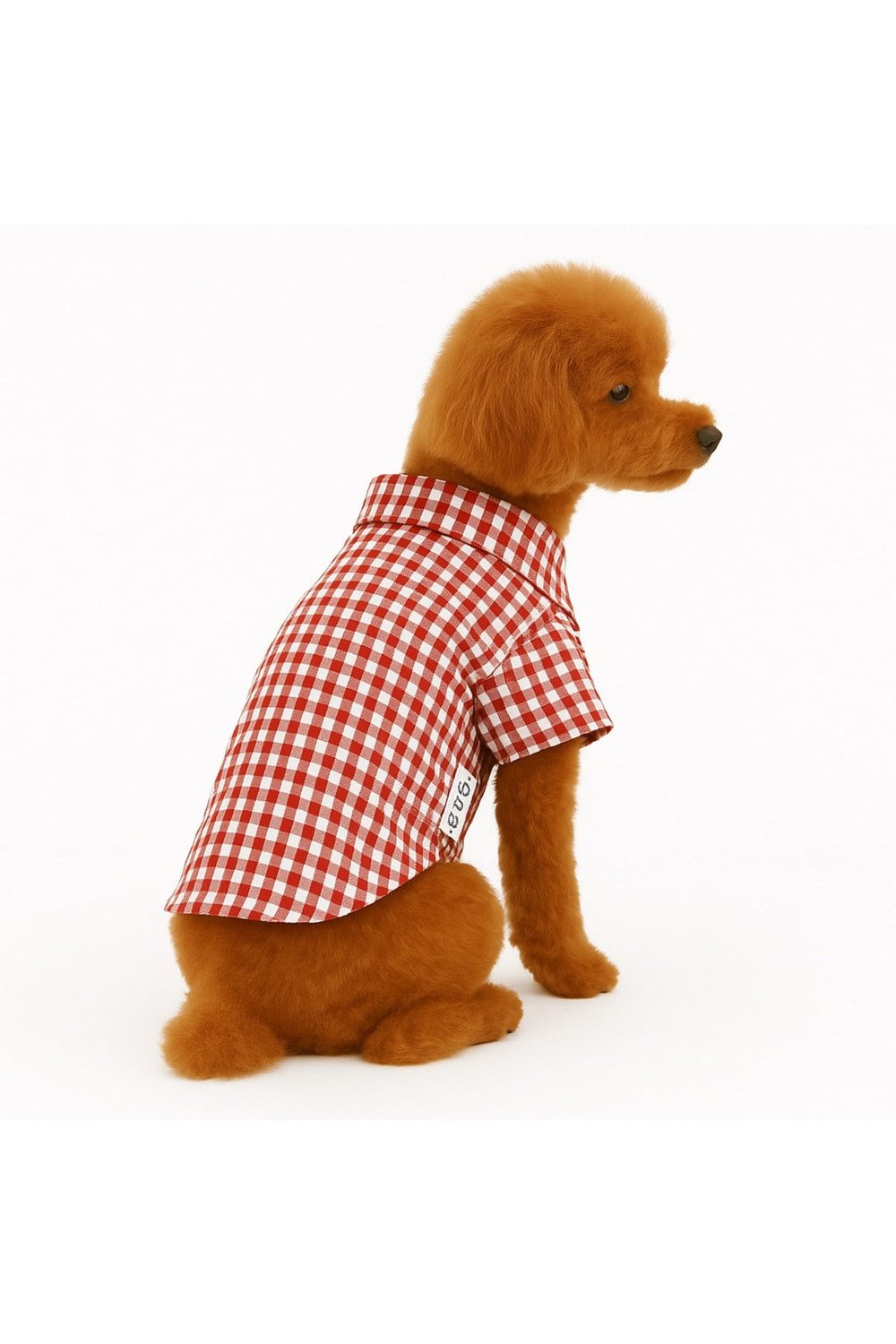 Küçük Irk Kırmızı Oduncu Kedi Köpek Gömleği-kedi Köpek Kiyafeti