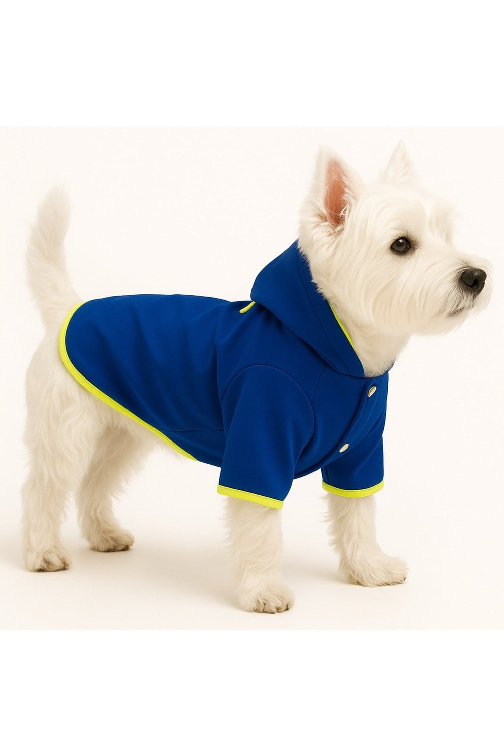 Küçük Irk Navy Blue İthal Softshell Kumaş İçi Polarlı Köpek Yağmurluğu (1-11 KG)