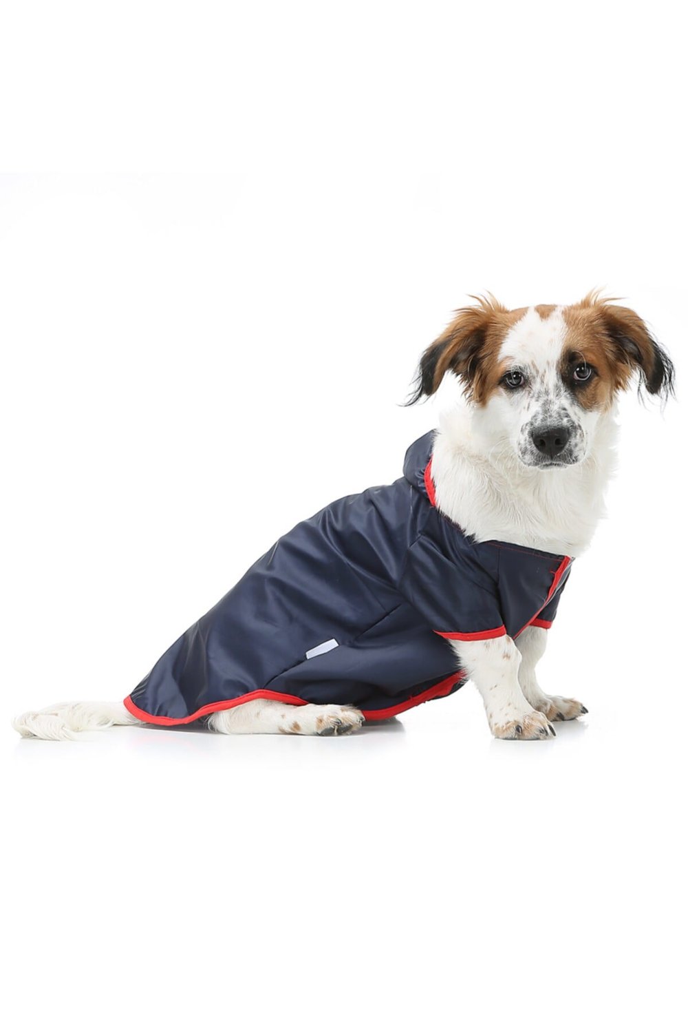 Küçük Irk Navy Kedi Köpek Yağmurluğu -kedi Köpek Kıyafeti