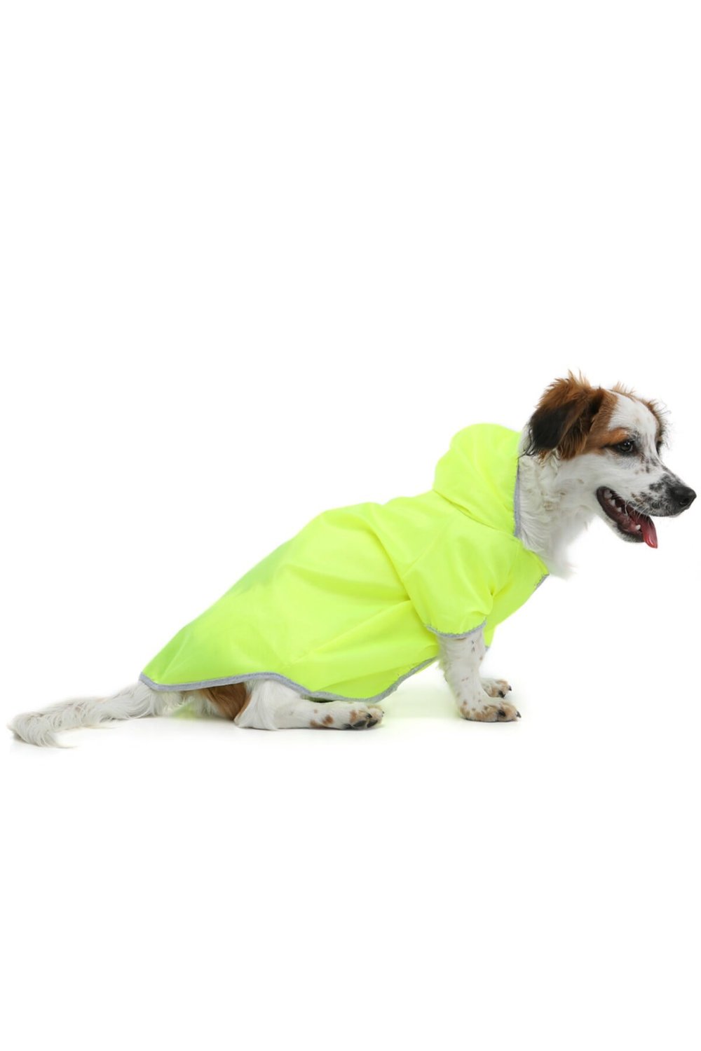 Küçük Irk Neon Yeşil Kedi Köpek Yağmurluğu Kedi Köpek Kiyafeti