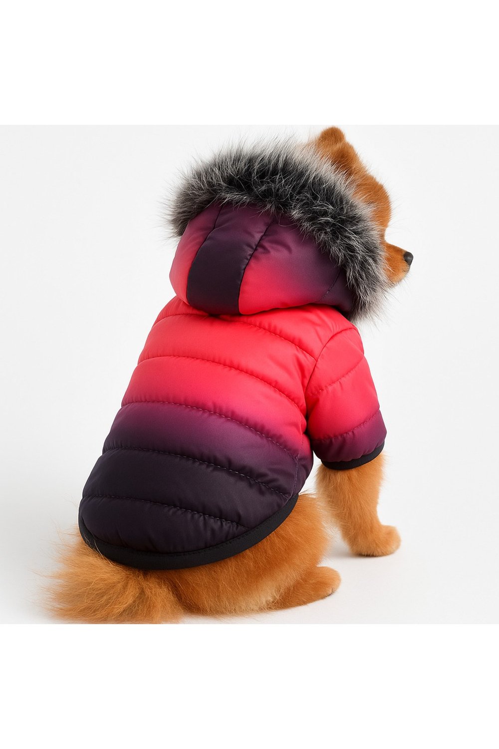 Küçük Irk Pink -black Puf Anorak Kedi & Köpek Montu (1-10KG)