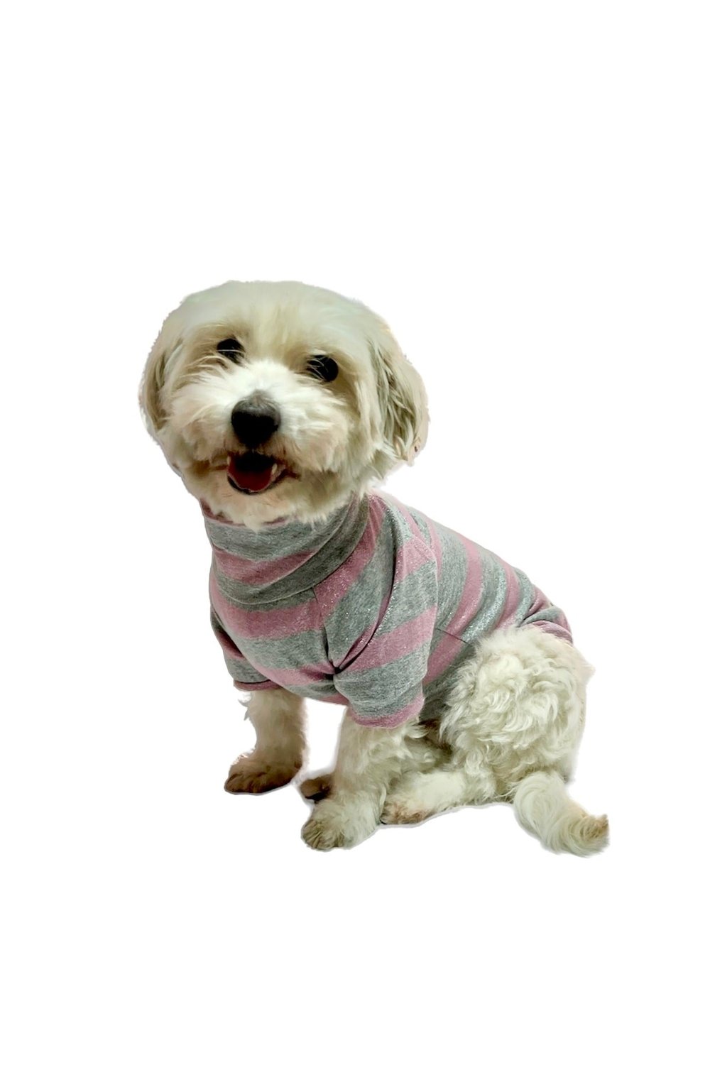 Küçük Irk Pınk Boğazlı Triko Kedi & Köpek Kazağı (1 Kg -10 Kg)
