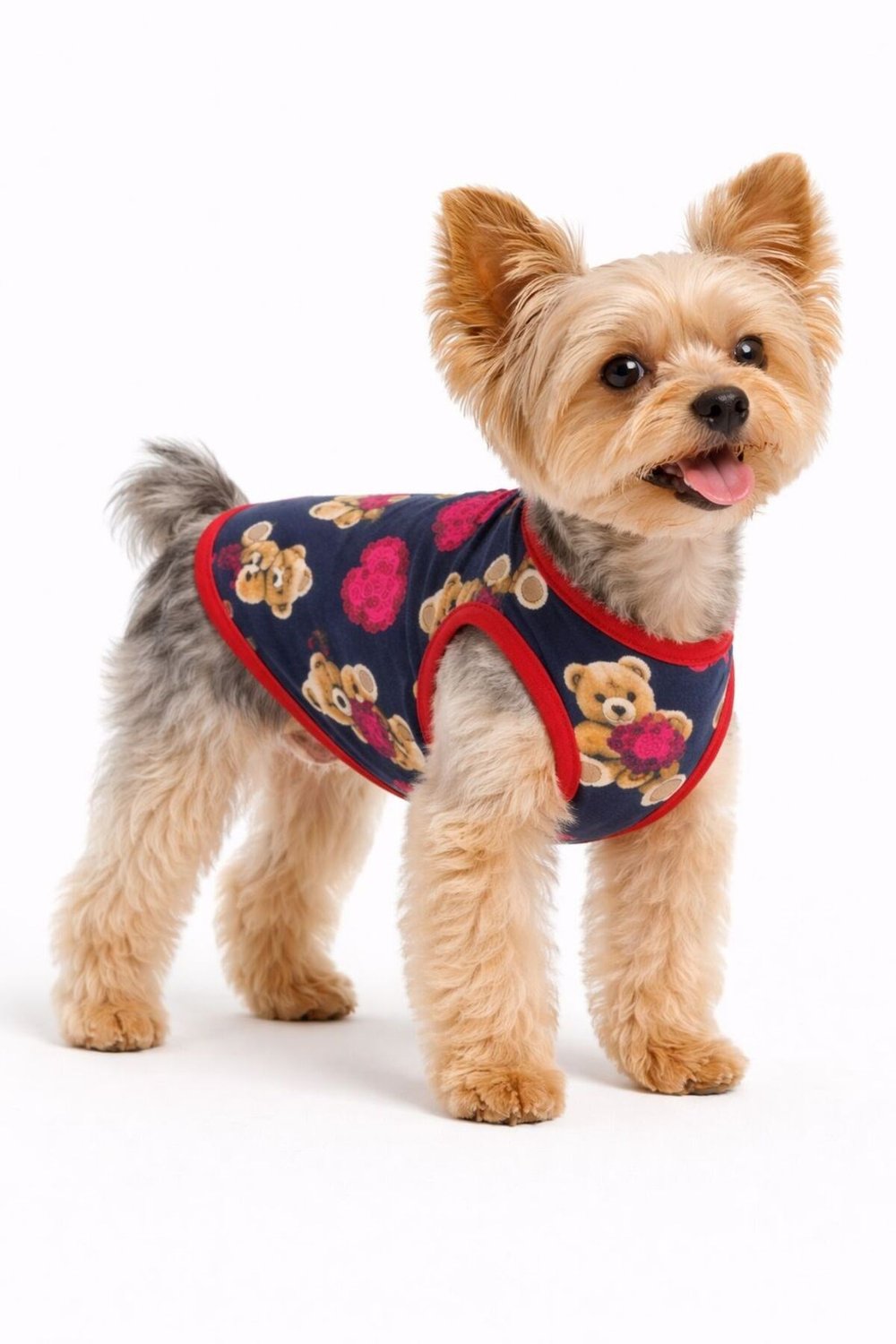 Küçük Irk Sweet Bear Köpek Atleti Kedi Atleti Köpek Kıyafeti (1-10KG)