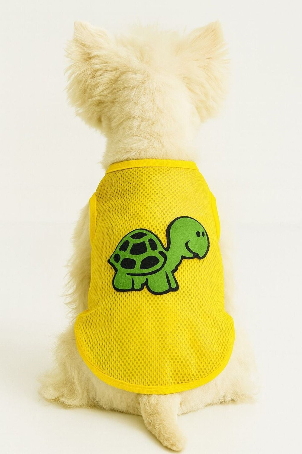 Küçük Irk Turtle Kedi Atleti Köpek Atleti (1-10kg)