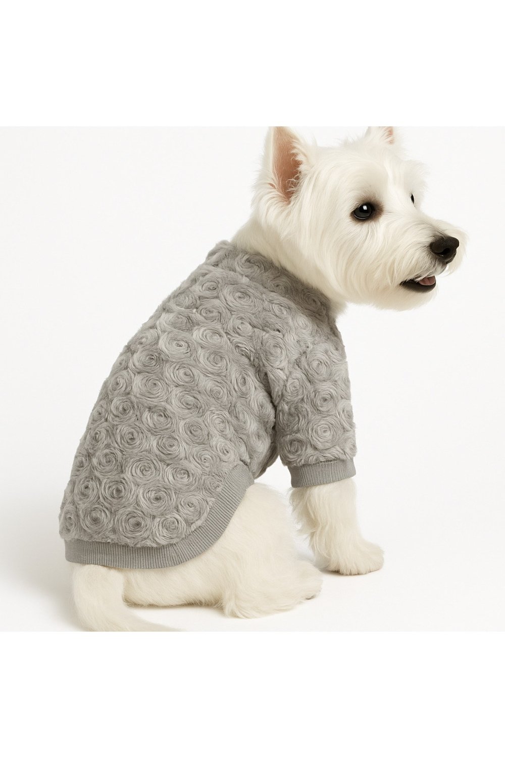 Küçük Irk Wedding Dress Küçük Irk Kedi Köpek Kıyafeti (01-10KG Arası)