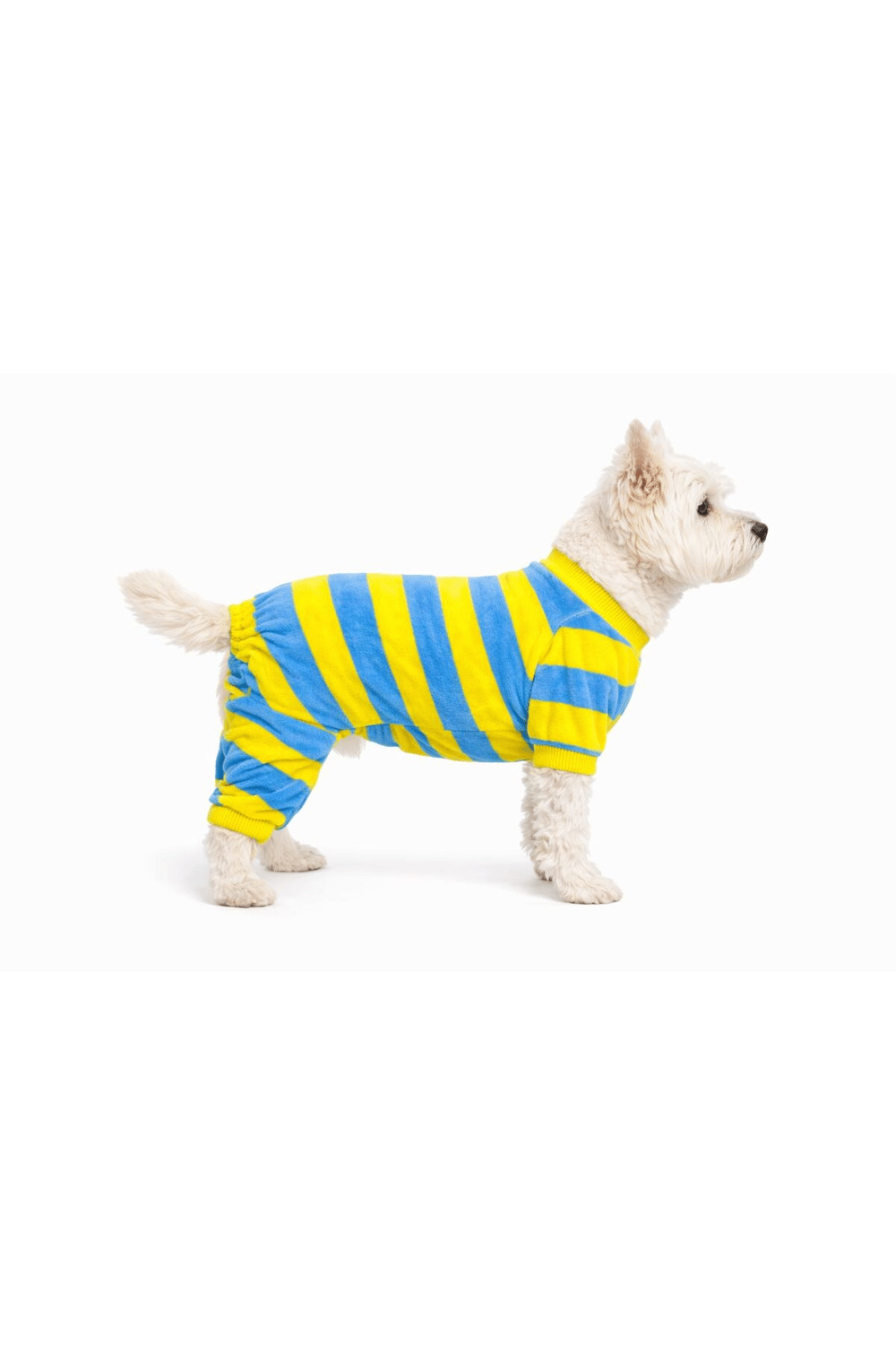 Küçük Irk Yellow Blue Köpek Tulumu Köpek Kıyafeti (1-10KG)