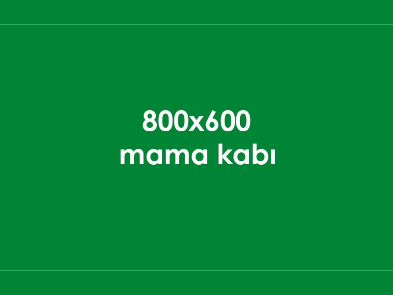 Köpek Mama Kabı Çelik