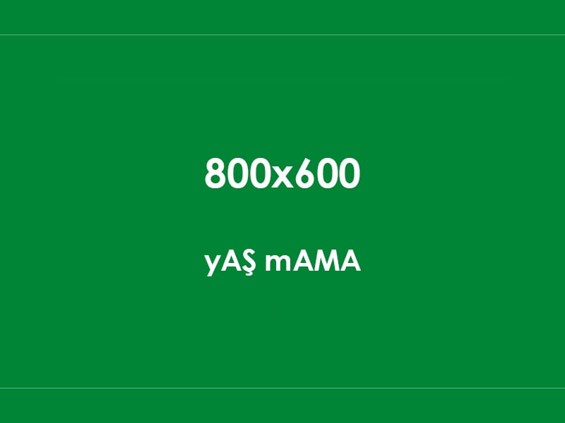 KÖPEK YAŞ MAMASI