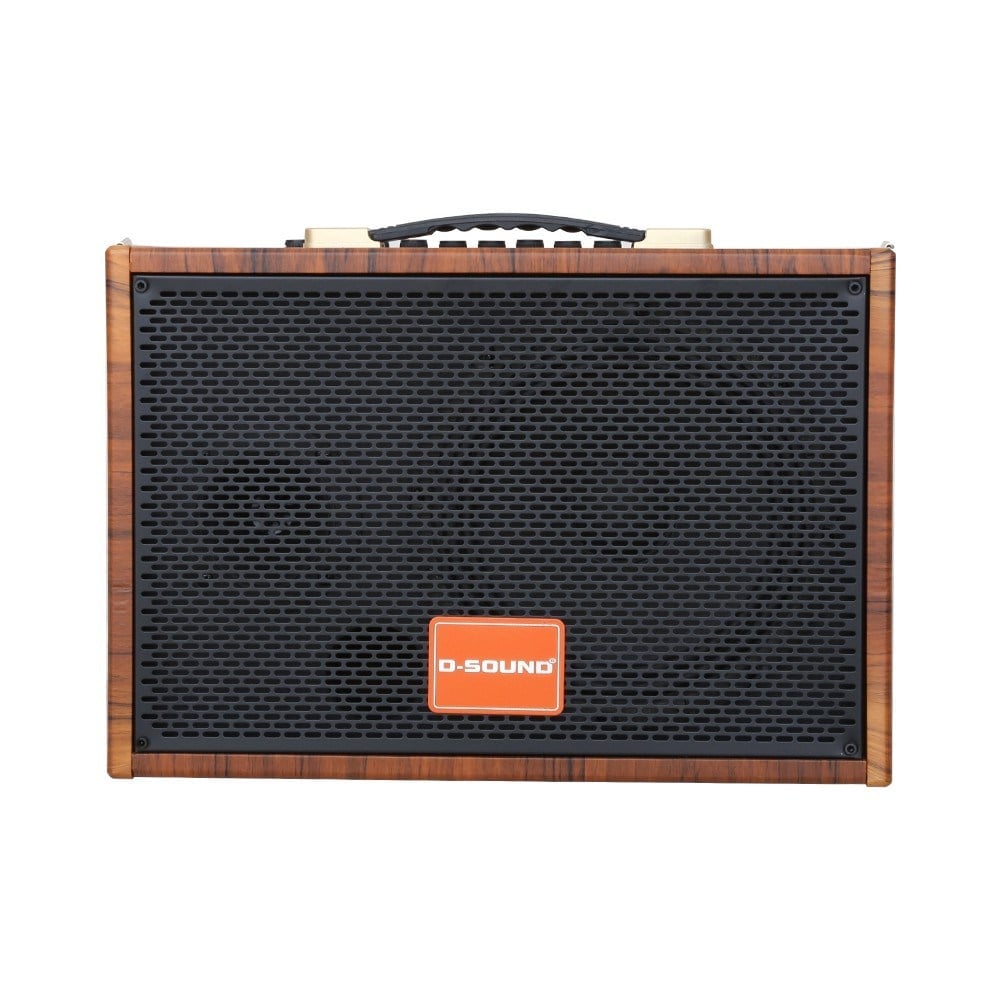d-sound-ga-20-tasinabilir-sarjli-hopar--46e3-.jpg
