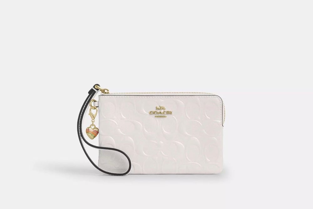 Coach Zip Pouch