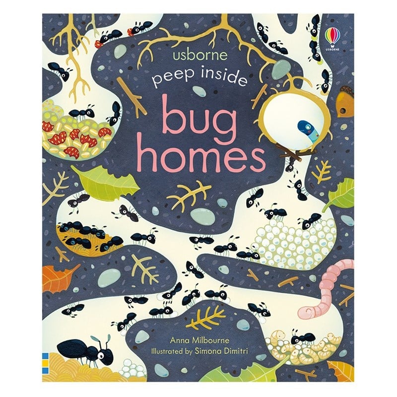 Peep Inside Bug Homes