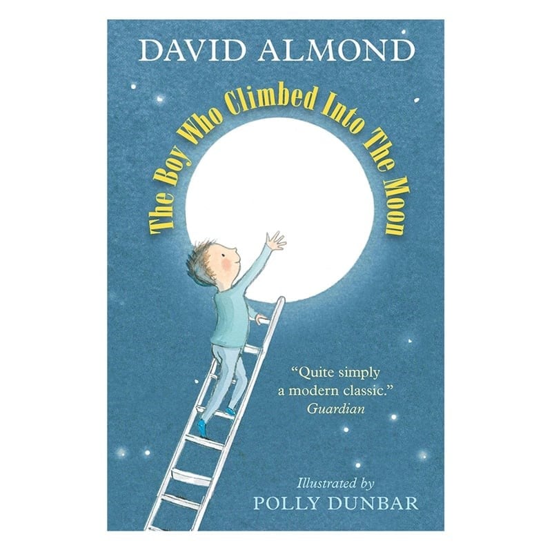 The Boy Who Climbed The Moon