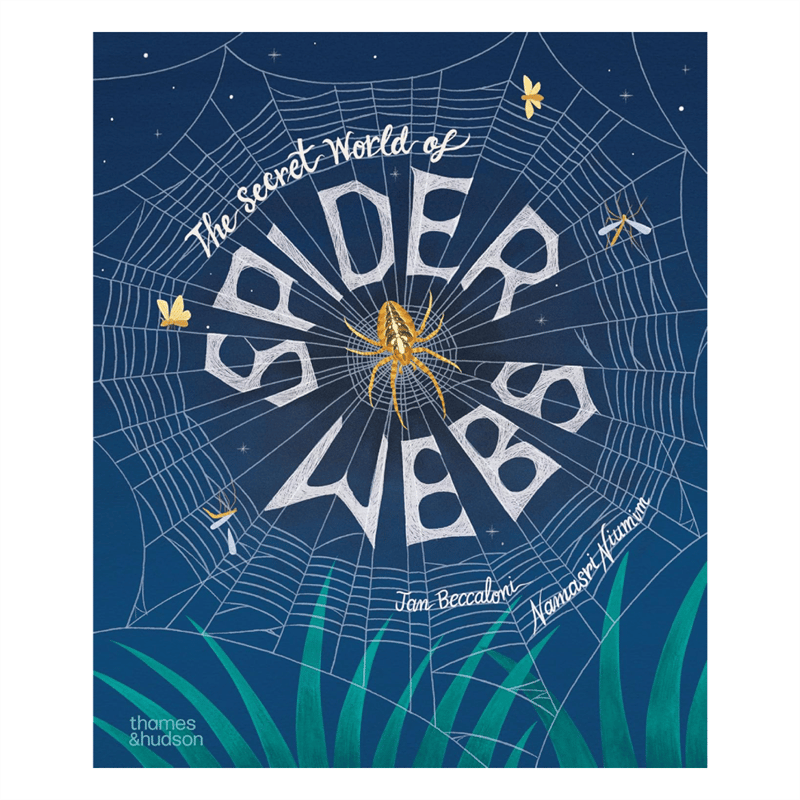 The Secret World of Spiderwebs