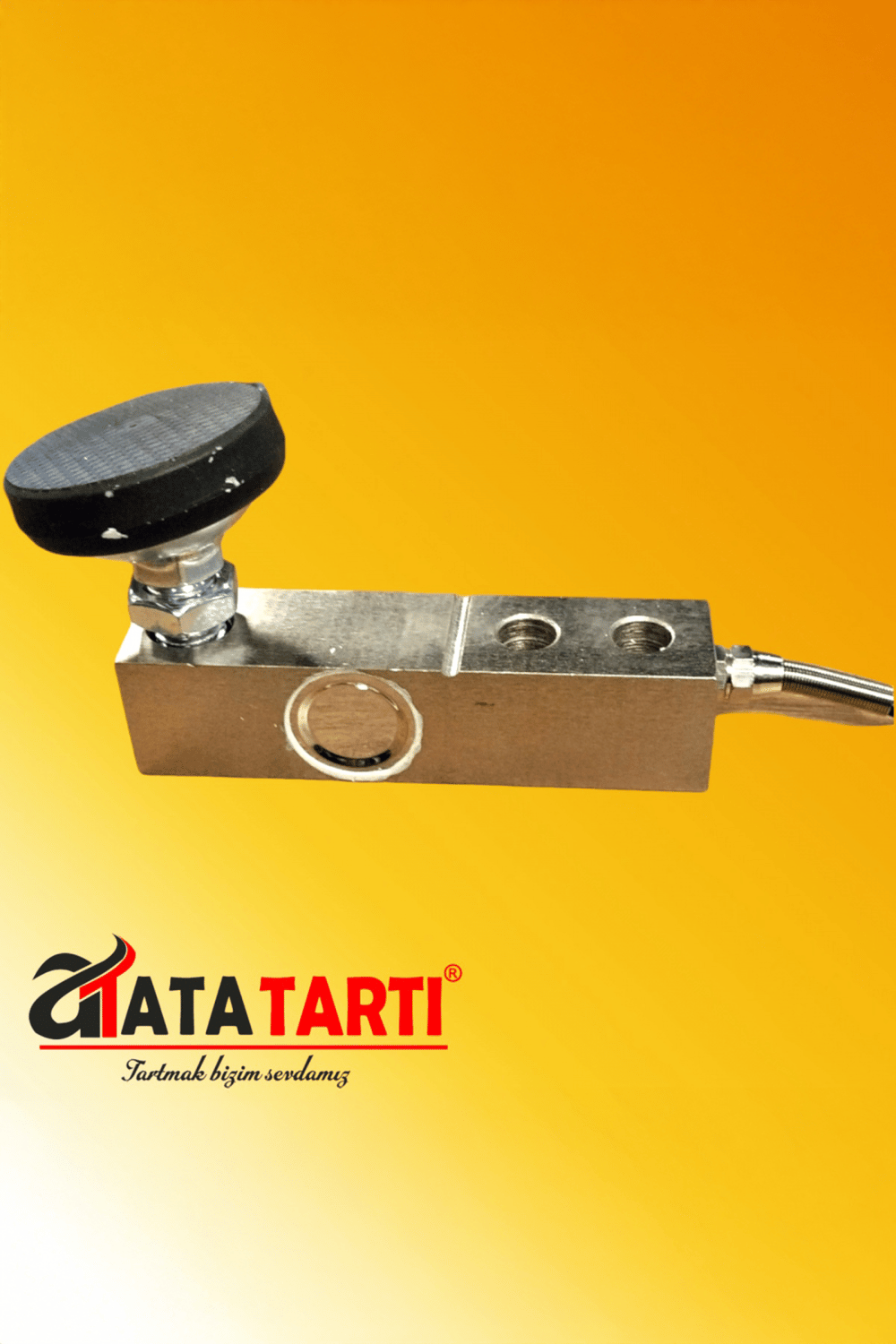 Tem Eko-LD Tartım İndikatörü ve 4 Adet 2 Ton Lama Loadcell