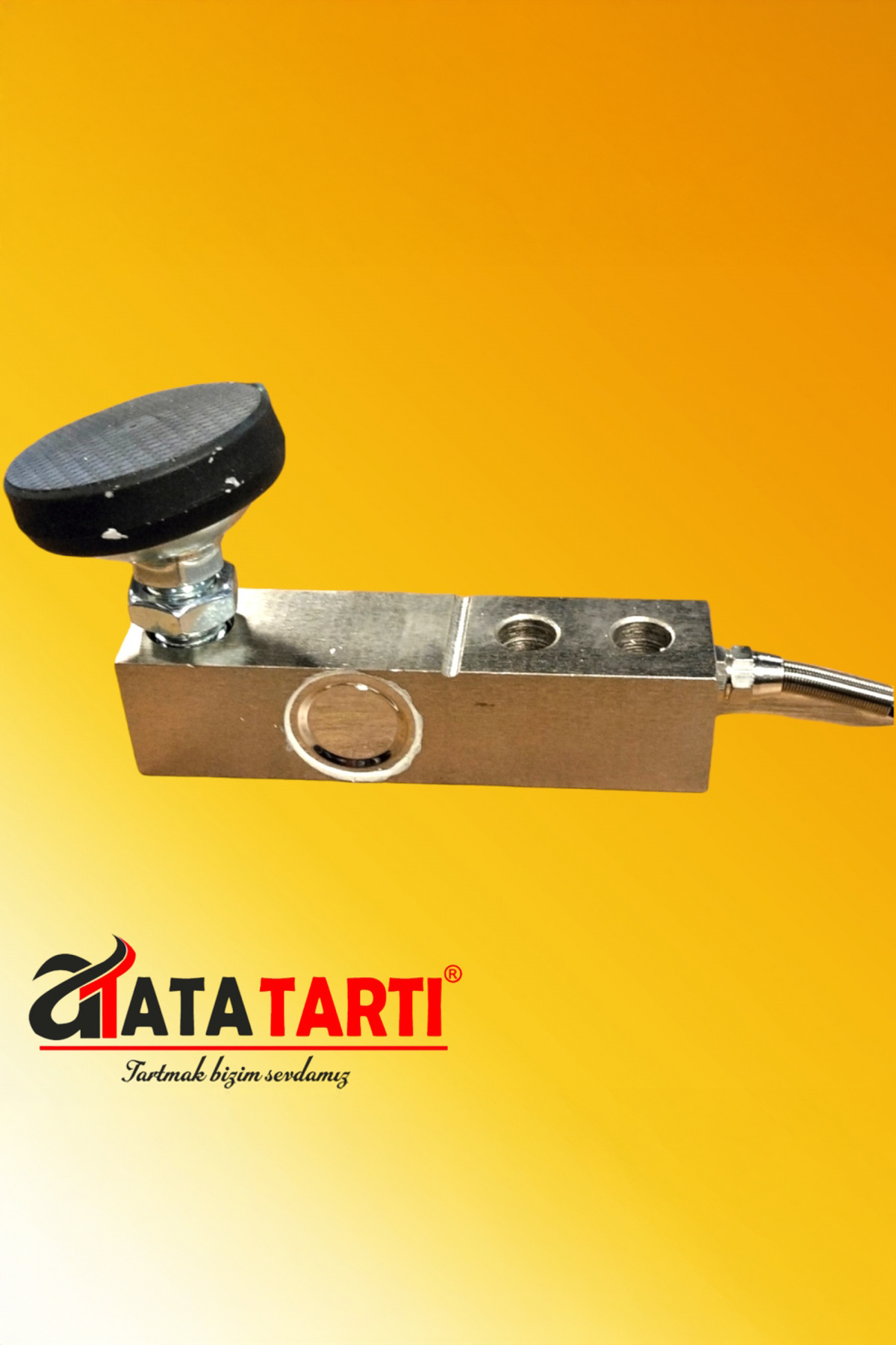Tem Eko+ LED Tartım İndikatörü ve 4 Adet 2 Ton Kapasiteli Lama Loadcell